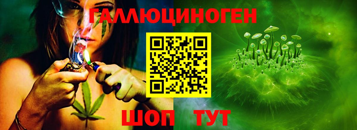 Псилоцибиновые грибы прущие грибы Пугачёв