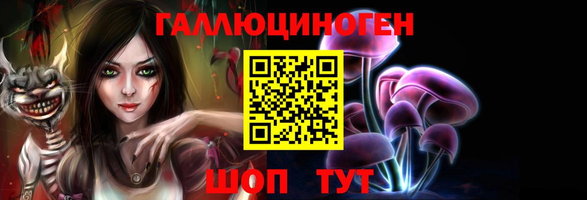 Пугачёв  Псилоцибиновые грибы ЛСД  Псилоцибиновые грибы Psilocybine cubensis  Вход с VPN 